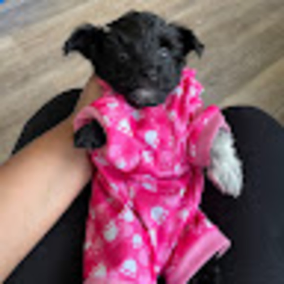 Profile Picture of Benita Lafosse (@benitalafosse) on Poshmark