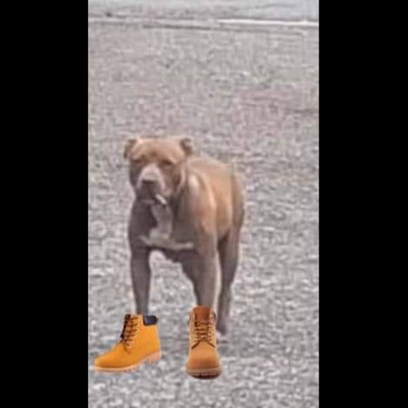 Profile Picture of David Casillas (@davidcasilla104) on Poshmark