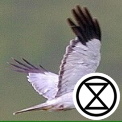 Profile Picture of John Olley (@johnolley1963) on Twitter