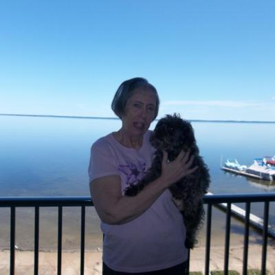 Profile Picture of Mary Gibbs Arnold (@marygibbsarnold) on Twitter