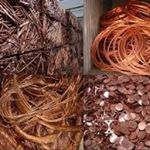 Profile Picture of Suporn yard (@yard1385) on Instagram