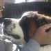 Profile Picture of Craig Denning (@craig.denning.56) on Facebook