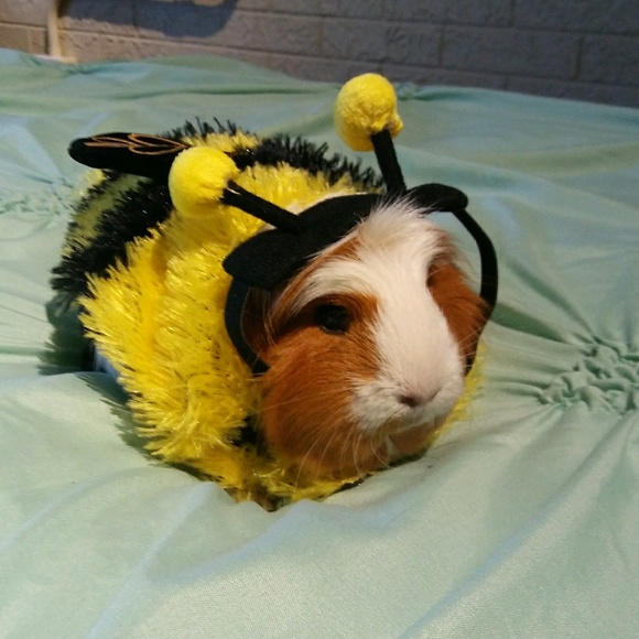 Profile Picture of Claudia Gompers (@claudia191) on Poshmark