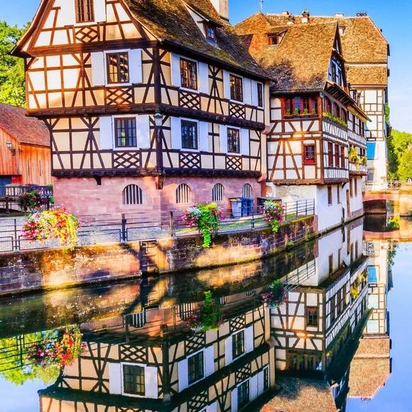 Profile Picture of Lily Luo (@lilylo88) on Poshmark