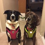 Profile Picture of Alex Brazeau (@brazeau.alex) on Instagram