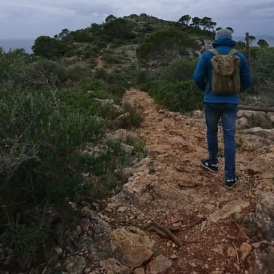 Profile Picture of Mike Spenner (@soproni28) on Twitter