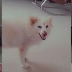 Profile Picture of Dhara Shukla (@dhara.shukla.90) on Instagram
