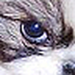 Profile Picture of T Childress (@t childress) on Flickr