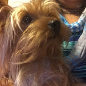 Profile Picture of James Pena (@elpocholoful) on Youtube