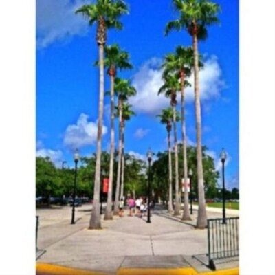 Profile Picture of Abraham Riggs (@riggsxpayp) on Twitter