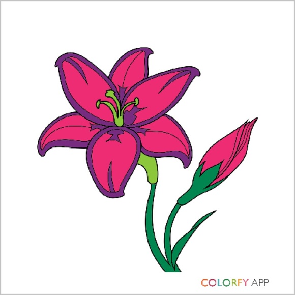 Profile Picture of Susan Adermann (@susan_ranea) on Poshmark