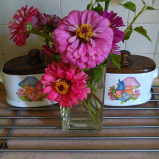 Profile Picture of Concetta Zappala (@concetta.zappala.73) on Facebook