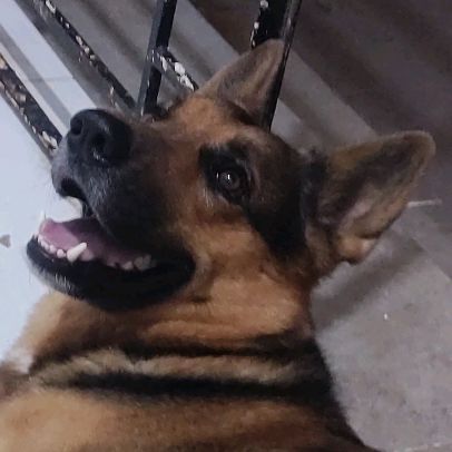 Profile Picture of Luke (@lukepastor) on Tiktok