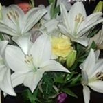 Profile Picture of Monica Barreda (@monica.blo.2014) on Instagram