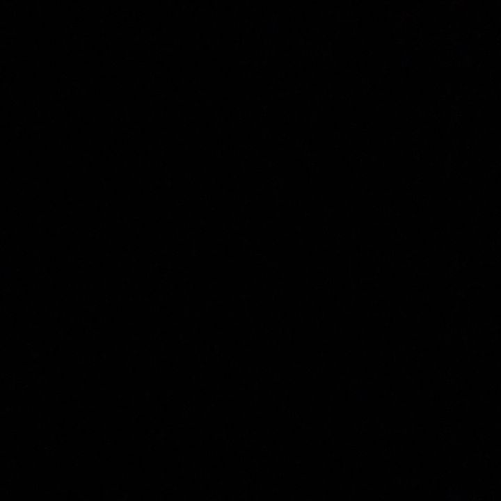 Profile Picture of adam Lund (@@adamlund769) on Tiktok