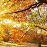 Profile Picture of aday bermúdez López (@adaybermudezlopez) on Instagram