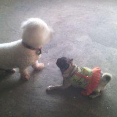 Profile Picture of Berta Meléndez (@bertagmg) on Twitter