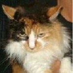 Profile Picture of Alice Hershey Haselwood (@amh249) on Instagram