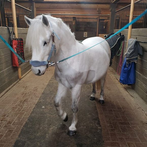 Profile Picture of Kim choo choo Kovach (@buzz2711) on Poshmark