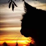 Profile Picture of Gladys Key Bueno (@gladys.key_95) on Instagram