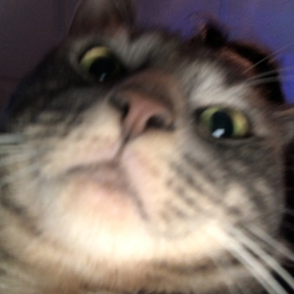 Profile Picture of Dawn Bird (@dawn_bird) on Poshmark