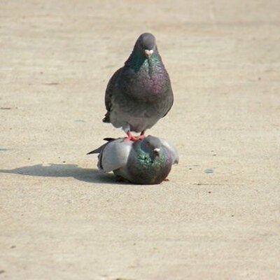 Profile Picture of Gemma Downs (@gemmadoons) on Twitter