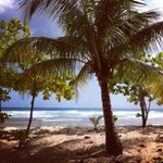 Profile Picture of james beaty (@jamesbeaty123) on Instagram