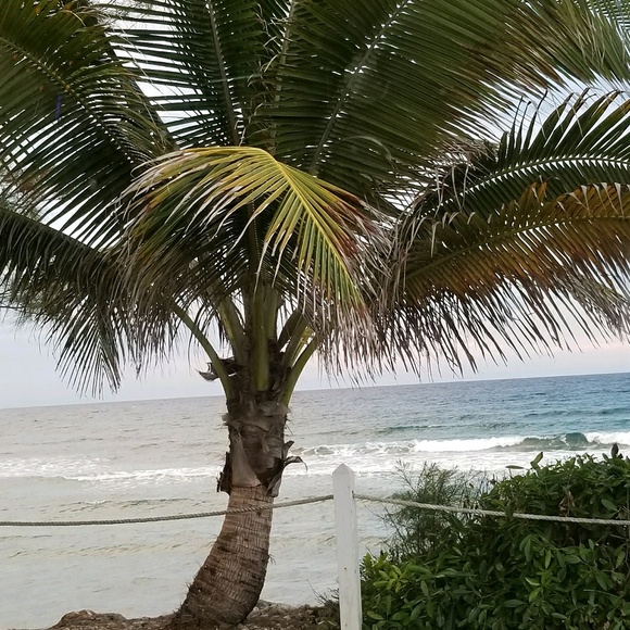 Profile Picture of Robin Walcutt (@rwalcutt) on Poshmark