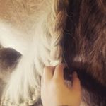 Profile Picture of Benjamin Chasse (@benjamin_chasse112316) on Instagram