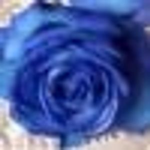 Profile Picture of Nancy Grenier (@304980478) on Myspace