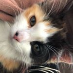Profile Picture of jo richards (@jokaiser) on Instagram