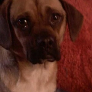 Profile Picture of John Lukens (@littlepeete) on Myspace