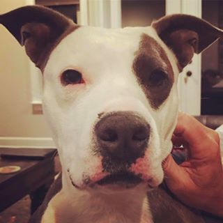 Craig D. Pogue - Facebook Profile Picture of Craig D. Pogue (@craig.pogue) on Facebook