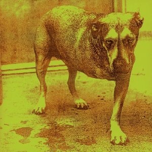 Profile Picture of Alice in Chains (album)on Wikipedia