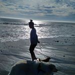 Profile Picture of lisa kwon (@justellekay) on Instagram