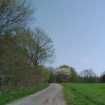 Profile Picture of Henry Hölling (@henry.holling) on Facebook