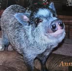 Profile Picture of Aria Roland (@ariakimberly) on Facebook