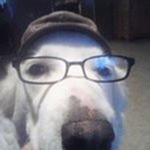 Profile Picture of Tony Dedman (@gracie1680) on Myspace