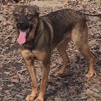 Profile Picture of Dylan Daigle (@dylan-daigle-1) on Quora