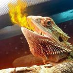Profile Picture of Jade Hassenplug (@cannibalistic_unicorn69) on Instagram