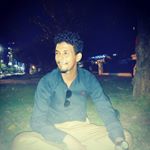 Profile Picture of صديق النوارس (@ashraf_omar_3994) on Instagram