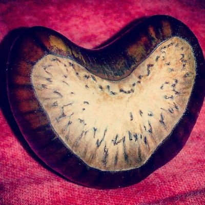 Profile Picture of Estera Deželak (@estiyie) on Twitter