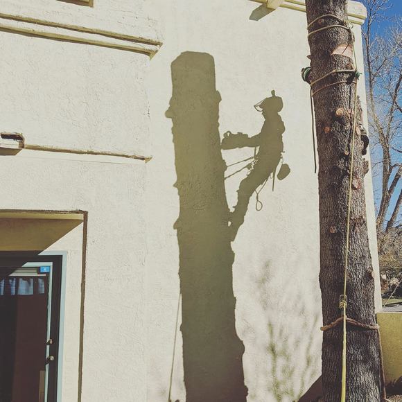 Matthew Alesio - Poshmark Profile Picture of Matthew Alesio (@mattalesio1994) on Poshmark