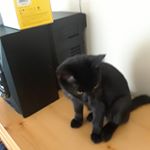 Daniel - Instagram Profile Picture of Daniel (@strutzfamily) on Instagram