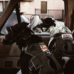 Profile Picture of Joseph Lovenduski (@the.gasoline.boys) on Instagram