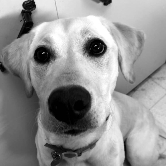 Profile Picture of Haley Risovi (@haleyrisovi) on Poshmark