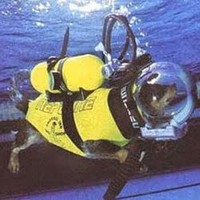 Profile Picture of John Silverio (@john-silverio-2) on Quora