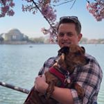 Profile Picture of Brad McAuliffe (@mcauliflowers) on Instagram