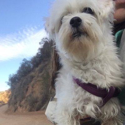 Profile Picture of Catherine Mendez (@CatMendezz) on Twitter