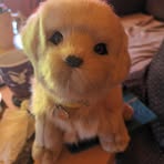 Profile Picture of Andrea Oevermann (@Andrea-Oevermann) on Facebook